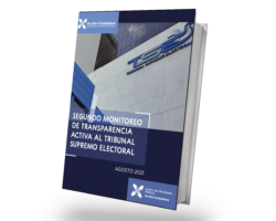 Acción Ciudadana presenta el segundo monitoreo de transparencia activa al Tribunal Supremo Electoral